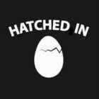 HATCHED IN