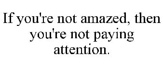 IF YOU'RE NOT AMAZED, THEN YOU'RE NOT PAYING ATTENTION.