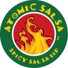 ATOMIC SALSA SPICY SALSA DIP