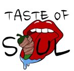 TASTE OF SOUL