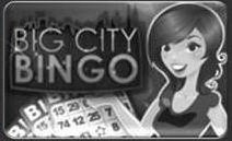 BIG CITY BINGO