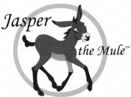 JASPER THE MULE