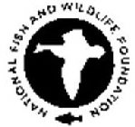 NATIONAL FISH AND WILDLIFE FOUNDATION