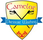 CAMELOT PRESSURE WASHING