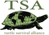 TSA TURTLE SURVIVAL ALLIANCE