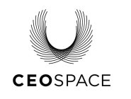 CEOSPACE