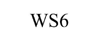 WS6