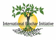 INTERNATIONAL BIOCHAR INITIATIVE
