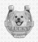 LUCKY PET PRODUCTS BY HOLLY MADISON