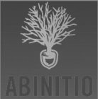 ABINITIO