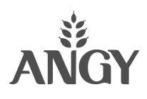 ANGY