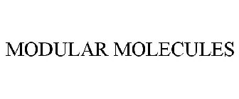 MODULAR MOLECULES