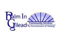 BALM IN GILEAD COMMUNITY SERVICES 