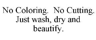 NO COLORING. NO CUTTING. JUST WASH, DRY AND BEAUTIFY.