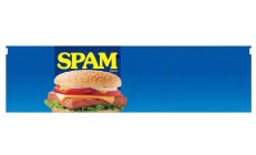 SPAM CLASSIC