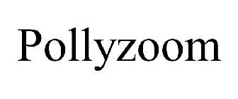 POLLYZOOM