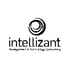 INTELLIZANT MANAGEMENT & TECHNOLOGY CONSULTING