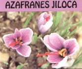 AZAFRANES JILOCA