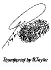 THUMBPRINT BY B.TAYLOR B TAYLOR