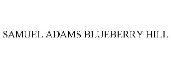 SAMUEL ADAMS BLUEBERRY HILL