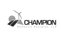 CHAMPION DOMESTIC ENERGIES, LLC