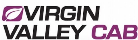 VIRGIN VALLEY CAB