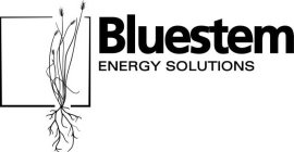 BLUESTEM ENERGY SOLUTIONS