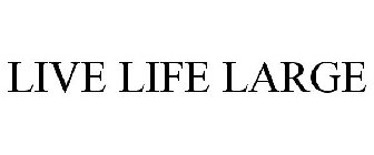 LIVE LIFE LARGE