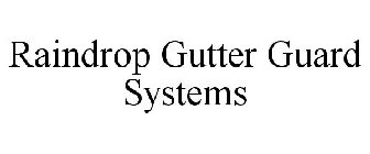 RAINDROP GUTTER GUARD SYSTEMS