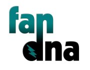 FAN DNA