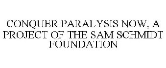 CONQUER PARALYSIS NOW, A PROJECT OF THESAM SCHMIDT FOUNDATION