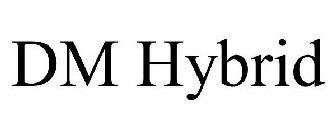 DM HYBRID