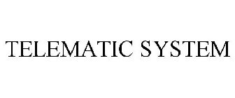 TELEMATIC SYSTEM