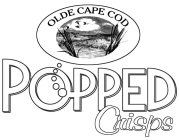 OLDE CAPE COD POPPED CRISPS