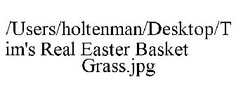 /USERS/HOLTENMAN/DESKTOP/TIM'S REAL EASTER BASKET GRASS.JPG