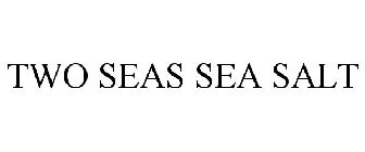 TWO SEAS SEA SALT