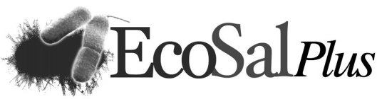 ECOSAL PLUS