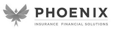 PHOENIX INSURANCE FINANCIAL SOLUTIONS