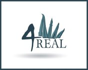 4 REAL