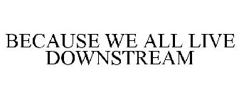 BECAUSE WE ALL LIVE DOWNSTREAM
