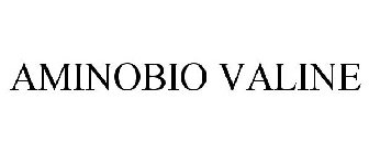 AMINOBIO VALINE