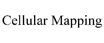 CELLULAR MAPPING