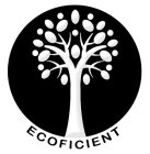 ECOFICIENT