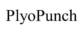 PLYOPUNCH