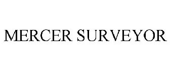 MERCER SURVEYOR