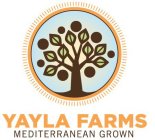 YAYLA FARMS MEDITERRANEAN GROWN