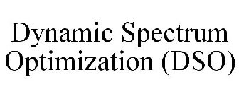 DYNAMIC SPECTRUM OPTIMIZATION (DSO)