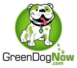 GREENDOGNOW .COM