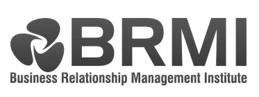 BRMI BUSINESS RELATIONSHIP MANAGEMENT INSTITUTE