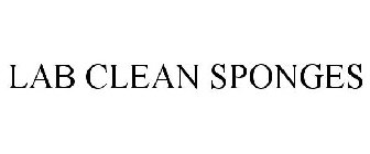 LABCLEAN SPONGES